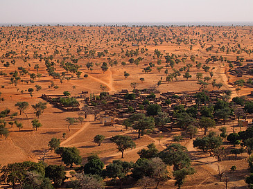 Die Landschaft nahe Bandiagara (Mali) zeigt eine Vielzahl an freistehenden B?umen, die von bisherigen Baumz?hlungsmethoden nicht erfasst werden.